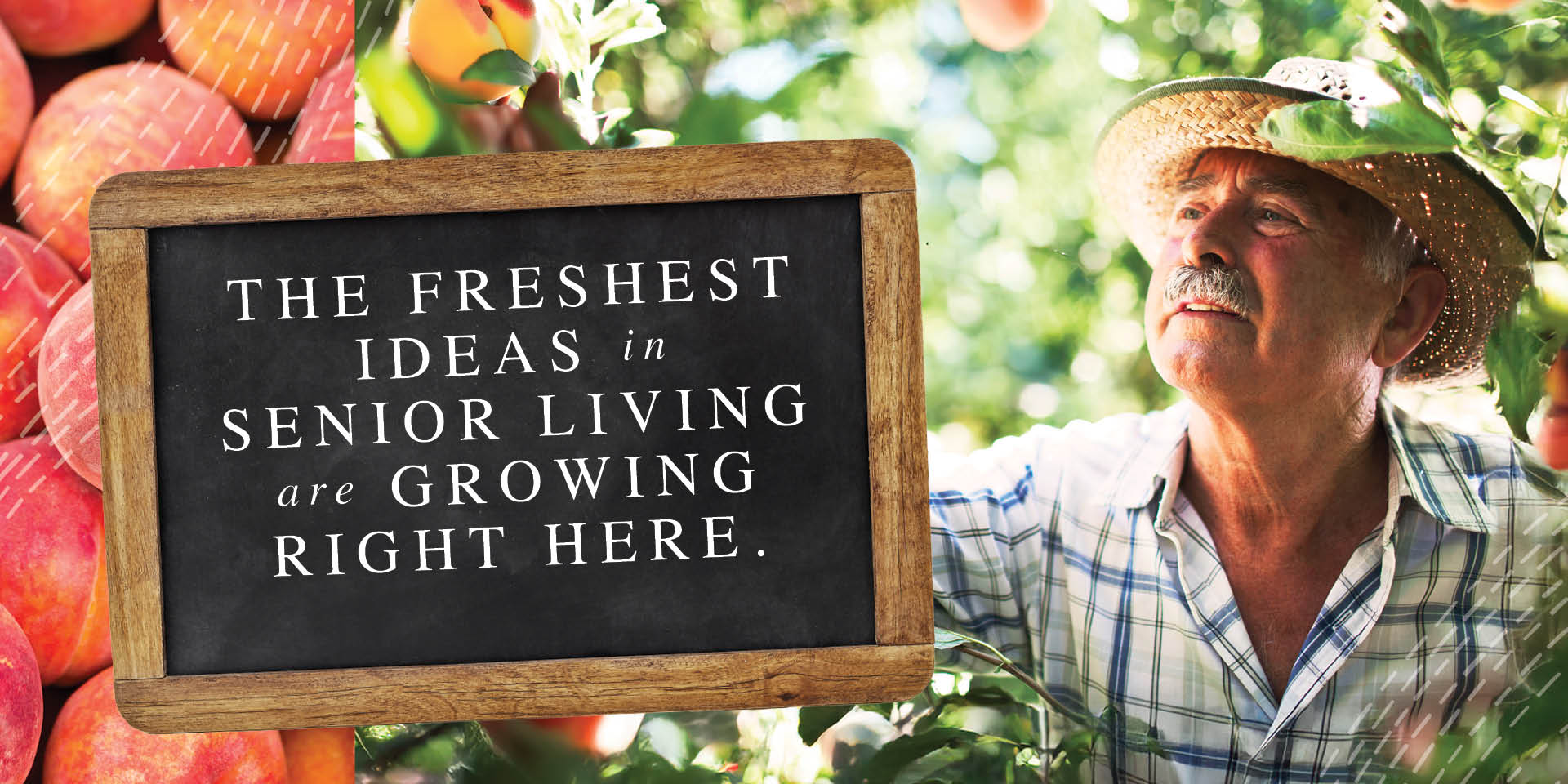 The freshest ideas in senior living are growing right here
